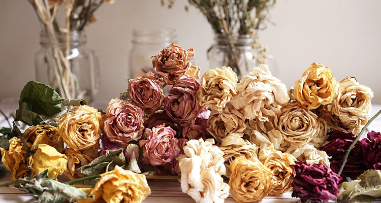 květiny