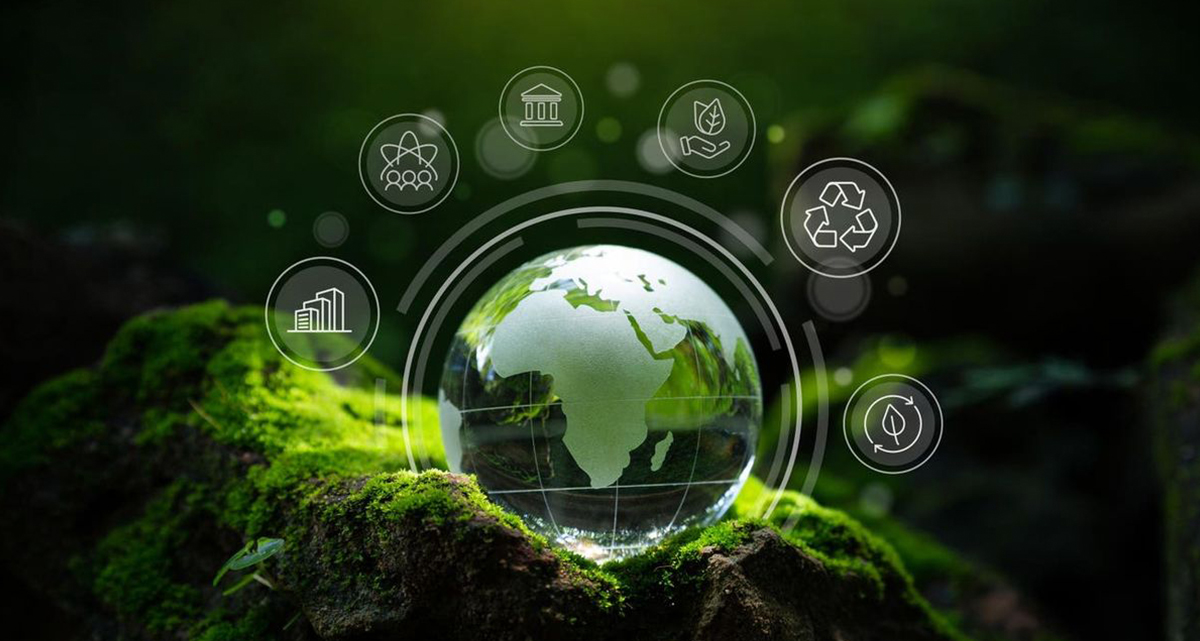 Sieno Lyofiling Technology Research Institute (Jiangsu) Co., Ltd