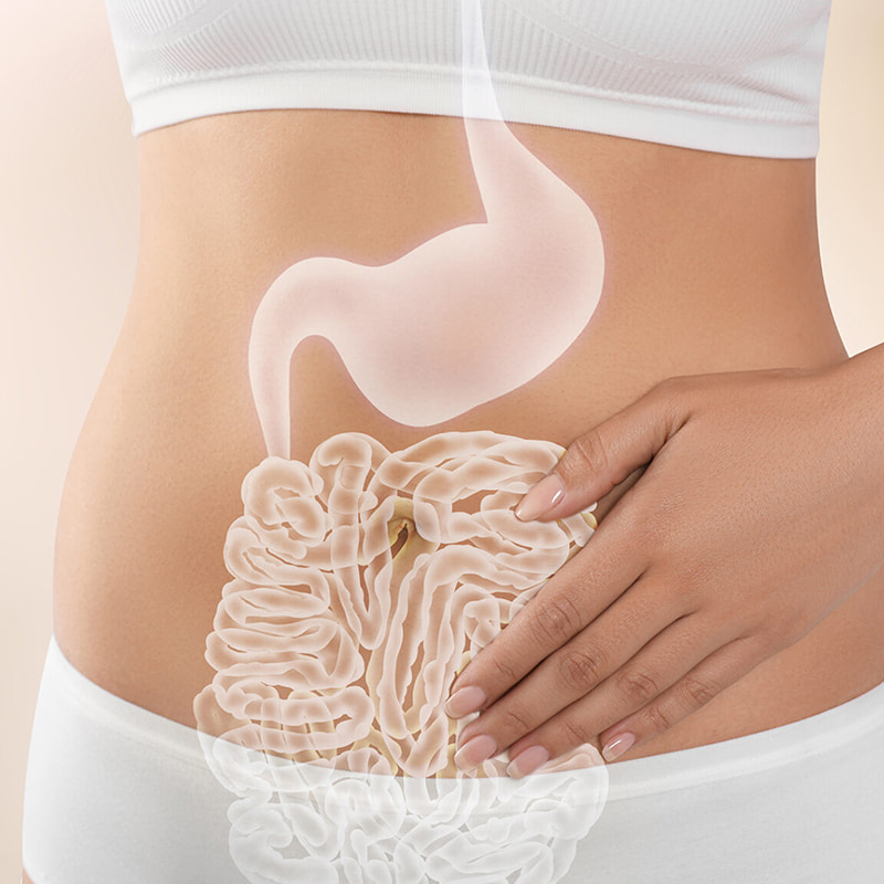 Nízkoteplotní centrifúga pro lyofilizované produkty pro zdraví gastrointestinálního traktu