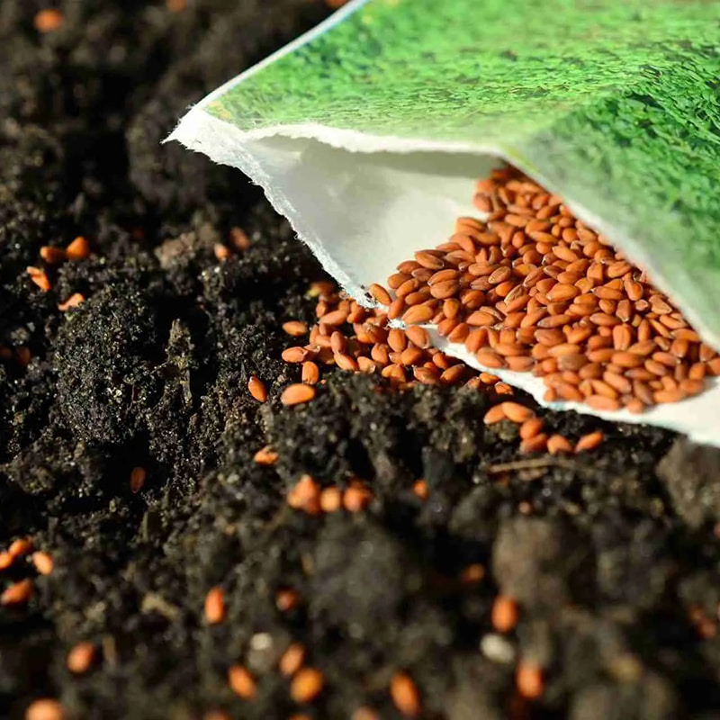 Ochranná nádoba na míchání semen a plísní